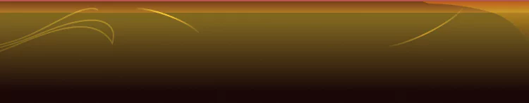 background category section